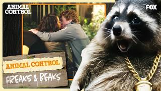 show video image in three sizes