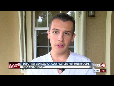 Two men arrested after searching for hallucinogenic mushrooms