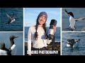 Seabird & Seal Photography | The Farne Island, England | Fujifilm 150-600mm