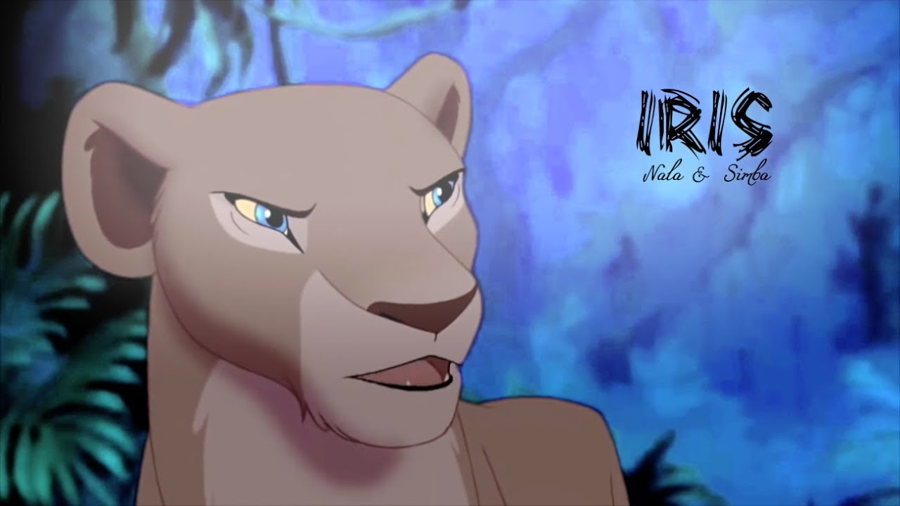 iris | simba & nala
