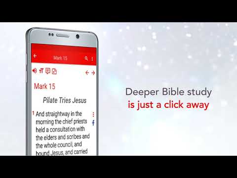 Study Bible commentary offline