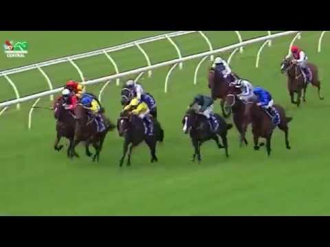 SIRES PRODUCE STAKES 2015 - Pride Of Dubai