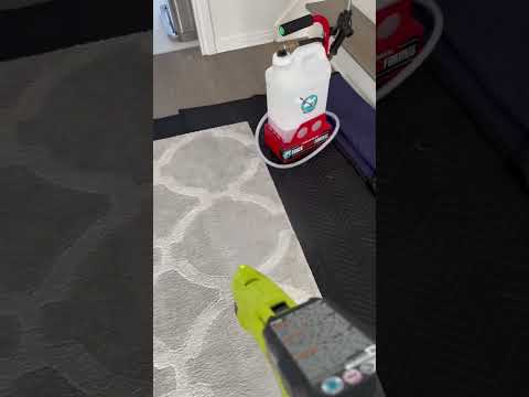 Démonstration vidéo nettoyage de tapis vapeur