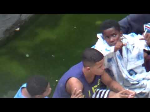 Janela video