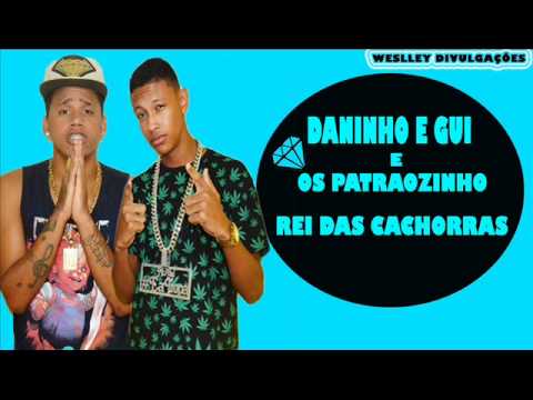 DANINHO E GUI E OS PATRÃOZINHOS - REI DAS CACHORRAS - MUSICA NOVA 2015