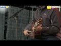 Sun Kil Moon / Mark Kozelek - Duk Koo Kim LIVE Sommerfesten 2010 (1/7)