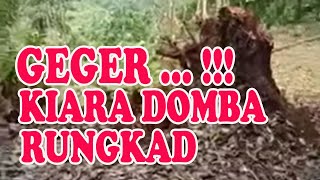 Download lagu GEGER ... !!! POHON KERAMAT KIARA DOMBA RUNGKAD mp3