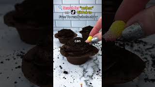 Click the link on my homepage to download and read the rest for free.