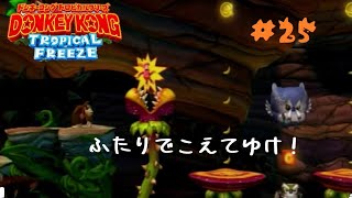 【ドンキーコングＴＦ】3－B「イバラパニック」