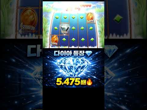 다이아 등장 5,475배