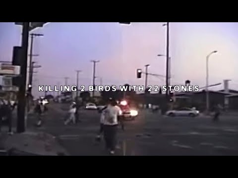 Video thumbnail for Killing 2 Birds with 22 Stones