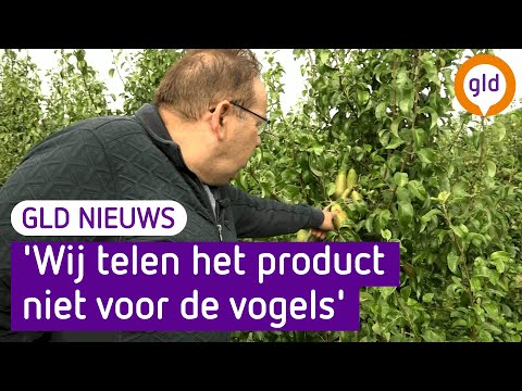 GLD Nieuws 31 augustus 2021