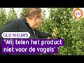GLD Nieuws 31 augustus 2021
