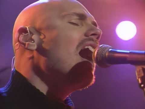 Zwan - Settle Down (Live on MuchMusic 2002)