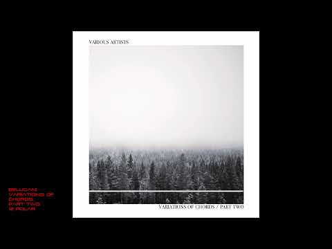 Belugani - Variations Of Chords - Part Two - 12 Polar