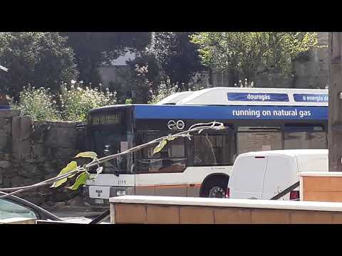 STCP linha 805 veiculo 3111