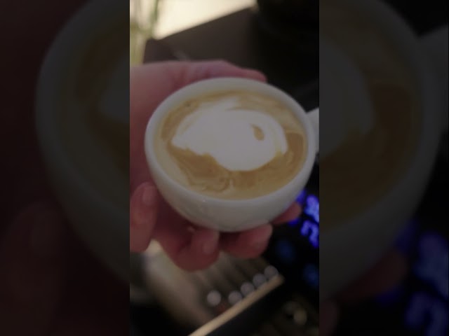 Video teaser for Trisa "Smart Barista" Test | Oliver zeigt dir den flexiblen Espresso-Macher