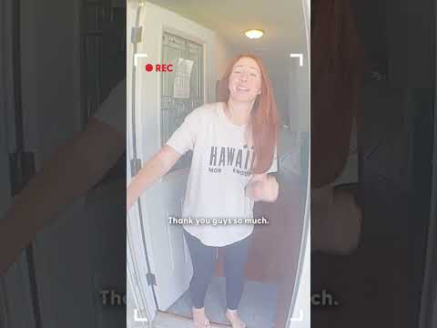 Pig Causes 911 Call — And Steals Everyone’s Hearts | The Dodo