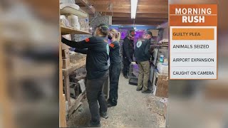 Over 400 animals rescued from Texas pet store