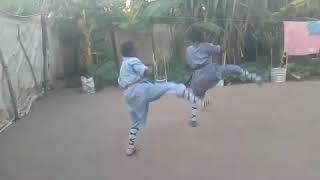 Download lagu Wushu kids IN TANZANIA mp3