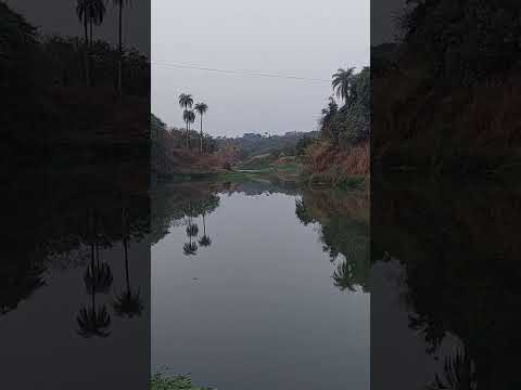 PAZ no RIO PARAOPEBA em MG! 🏞️ Natureza e Pássaros | São Joaquim de Bicas #shorts