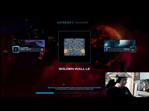 StarCraft 2 Protoss vs Zerg build explained