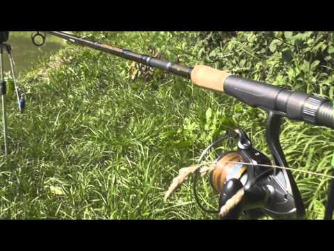 Method Feeder at the Lake, by Tim Brenner