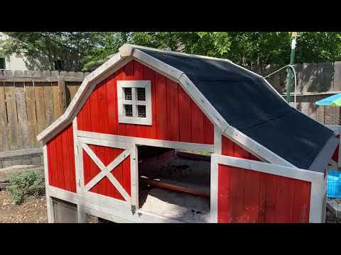 A Thank You from Four Brothers Farm