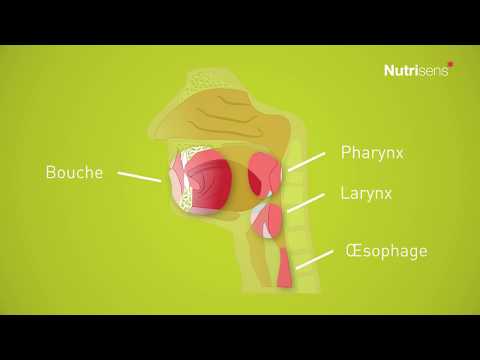 Dysphagie - La déglutition, qu'est-ce que c'est ?