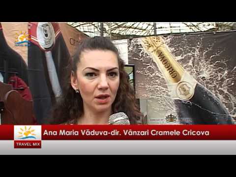Targul International de Vinuri Goodwine 2012 Ana Maria Vaduva dir Vanzari Cramele Cricova