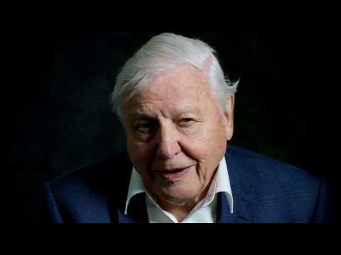 David Attenborough: A Life On Our Planet (2020) Official Trailer