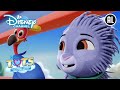 T.O.T.S. | ⛅ Allemaal Instappen! | Disney Channel NL