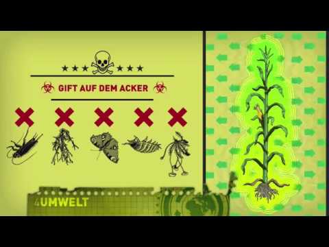 Ist Gentechnik in der Landwirtschaft ein Problem?