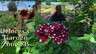 5/16 Garden Tour and Harvest with Mr. Parks - Is the Garden Thriving?