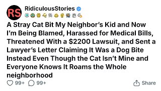 A Stray Cat Bit My Neighbor’s Kid and Now I’m Being Blamed, Harassed for Medical Bills.