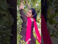 Hot Hotromance Hotseduction Hotcomilation Romance Seduction Compilation Teluguhotvideos 🫦