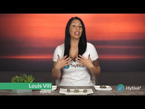 Strain Review: Louis VIII