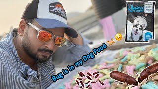 Bug is in my Dog Food | How to get rid of Bugs #dogfood #bug #lifestylevlog