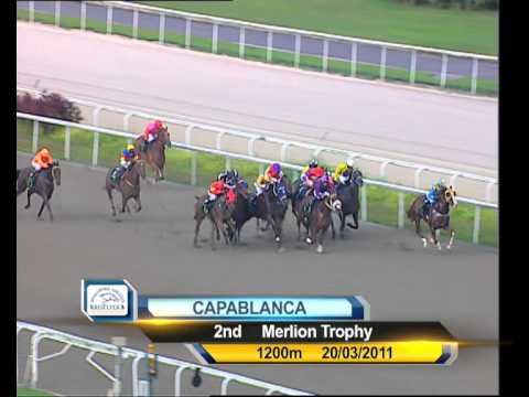 KrisFlyer International Sprint 2011 Contenders (Capablanca)