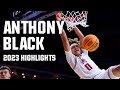 Anthony Black 2023 Ncaa Tournament Highlights