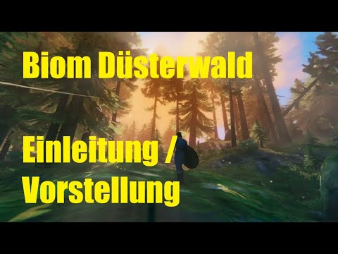 Valheim ´24 *schnell und einfach* - Tipps - Einleitung Der Düsterwald Biom Dunkelwald