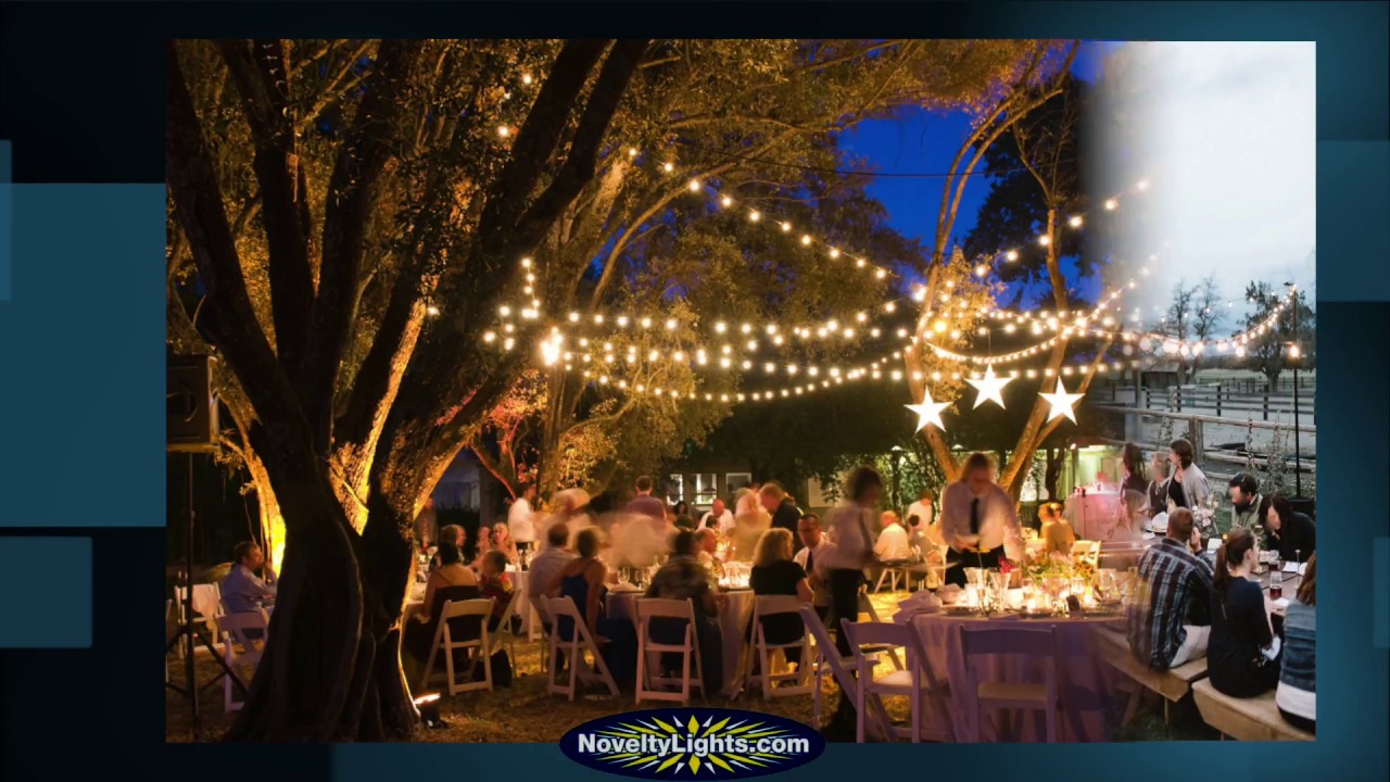 100 G40 Globe String Light Set with Purple Bulbs on Green Wire