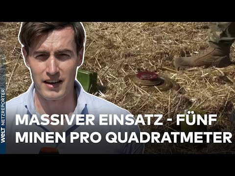PUTINS-KRIEG: Tödlicher Stillstand - Warum die ukrainische Gegenoffensive nicht vorankommt | WELT