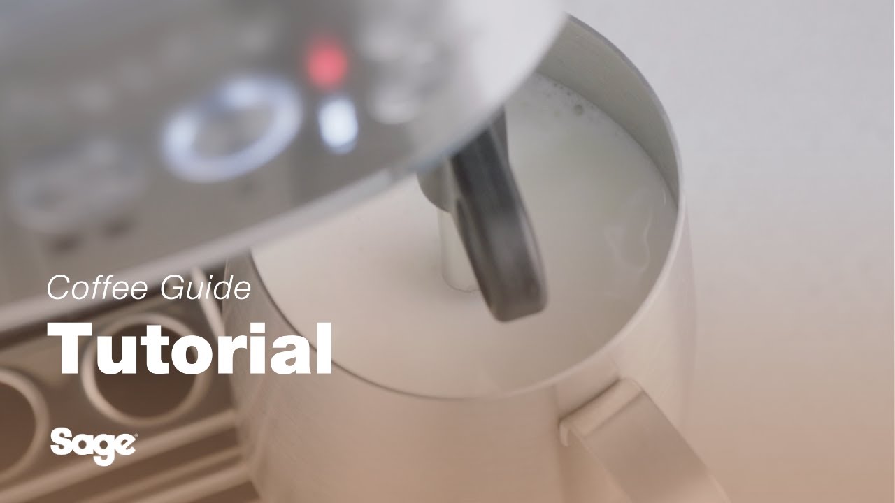 Breville coffee guide tutorial - How to automatically texture milk