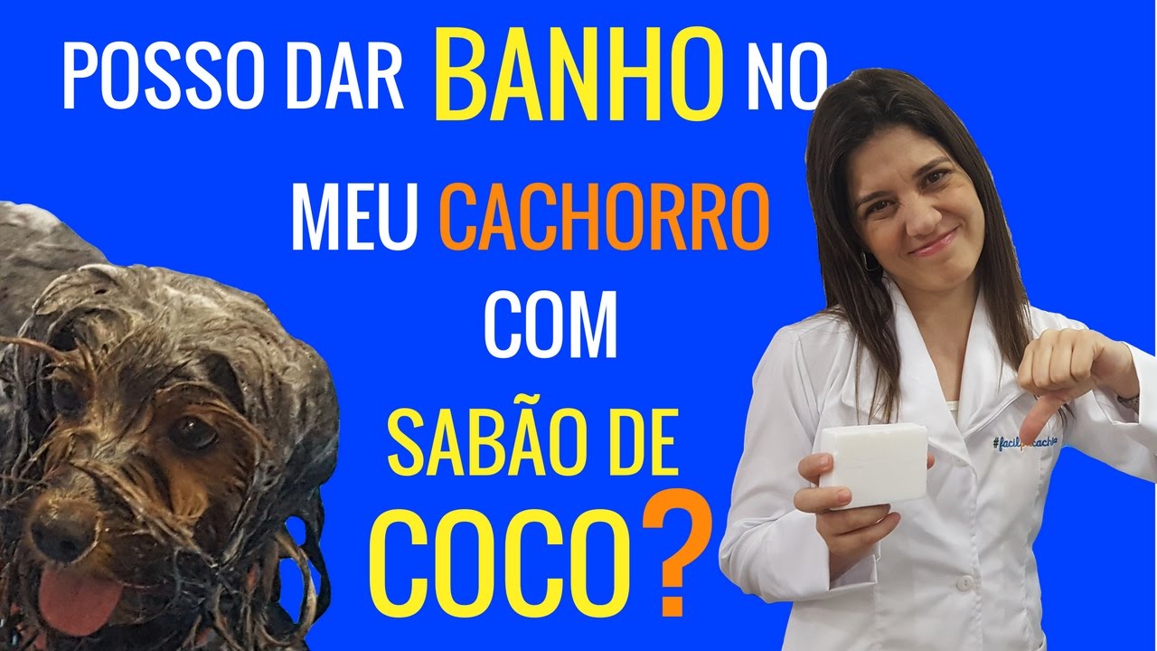 Posso Dar Banho no Meu Cachorro com Sabão de Coco | Fácil Pra Cachorro