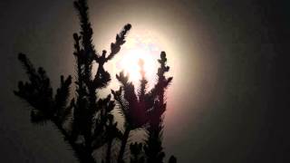 preview picture of video '14.04.2014 Time Lapse Luna dalla solita camera'