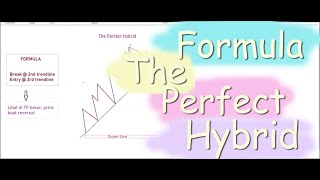 #16 The Perfect Hybrid Setup | bystra collection