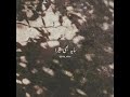 Rakh Lu Chupa Ke Mai Kahi Maula Mera Maula Aesthetic Whatsapp Status
