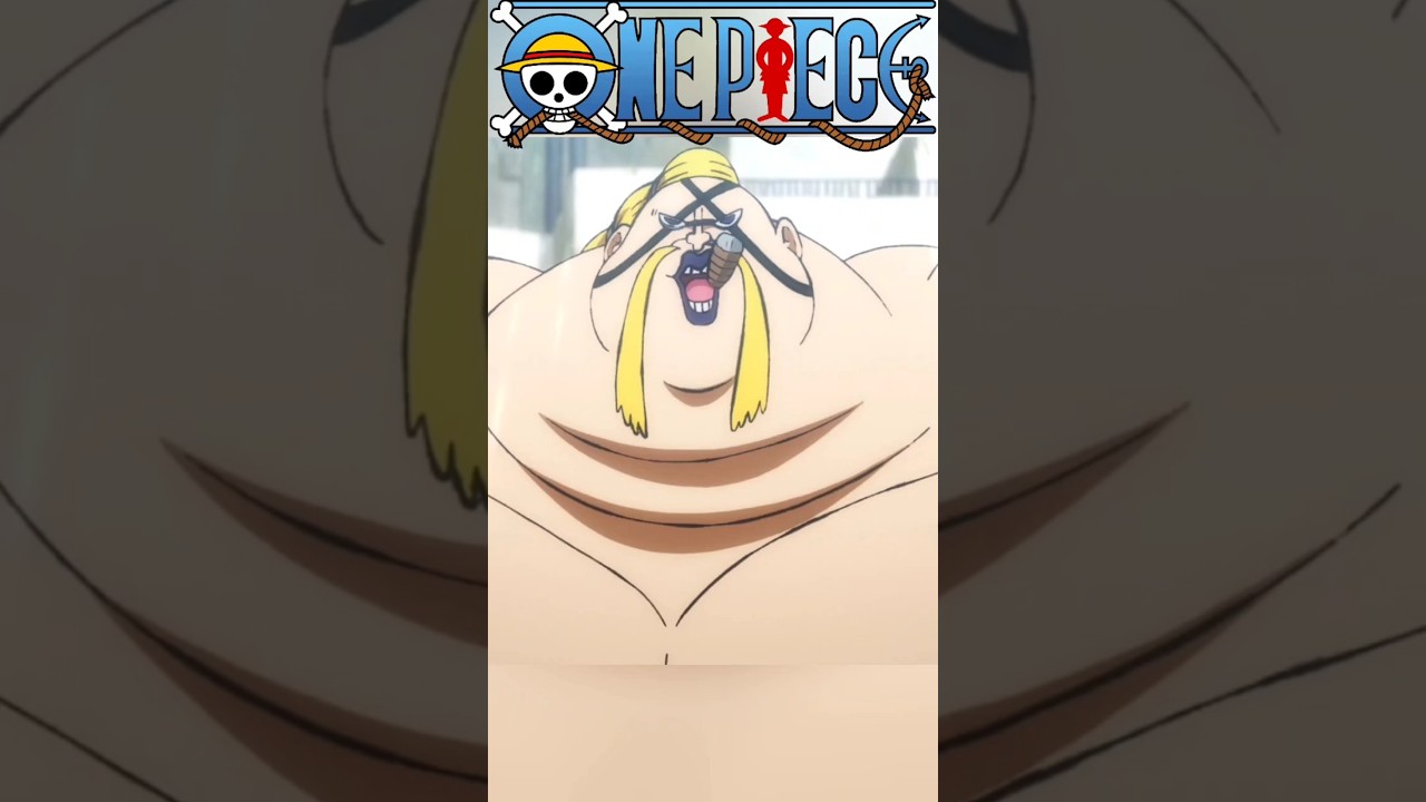 AS ALCUNHAS MAIS DEPRECIATIVAS PRESENTES NA OBRA DE ONE PIECE
