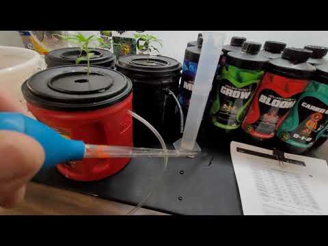 Spider Farmer Autoflower Grow SF1000 #15